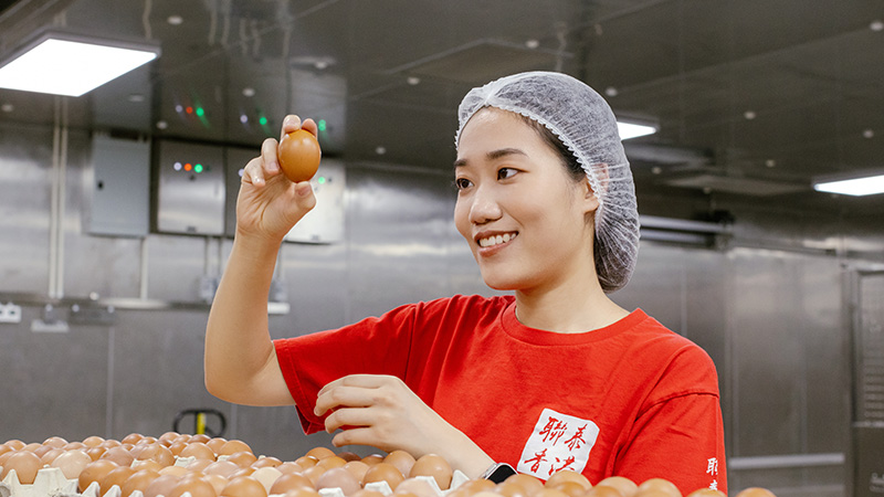 Chinese woman inspecting eggs in factory | Vikash Autar Television Program Film Director Hong Kong and Sydney